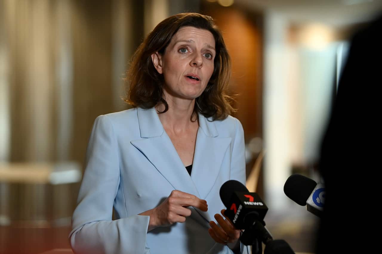 A woman talking to reporters