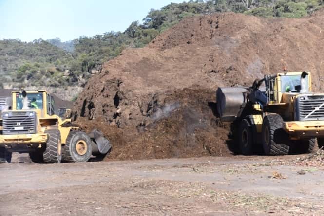 MicrosoftTeams-image (1).png