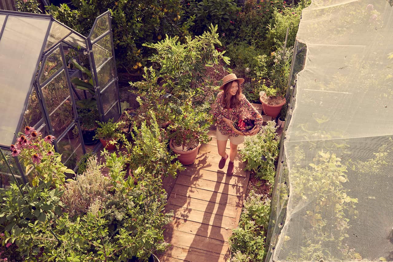 Credit - Alicia Taylor-2.jpg