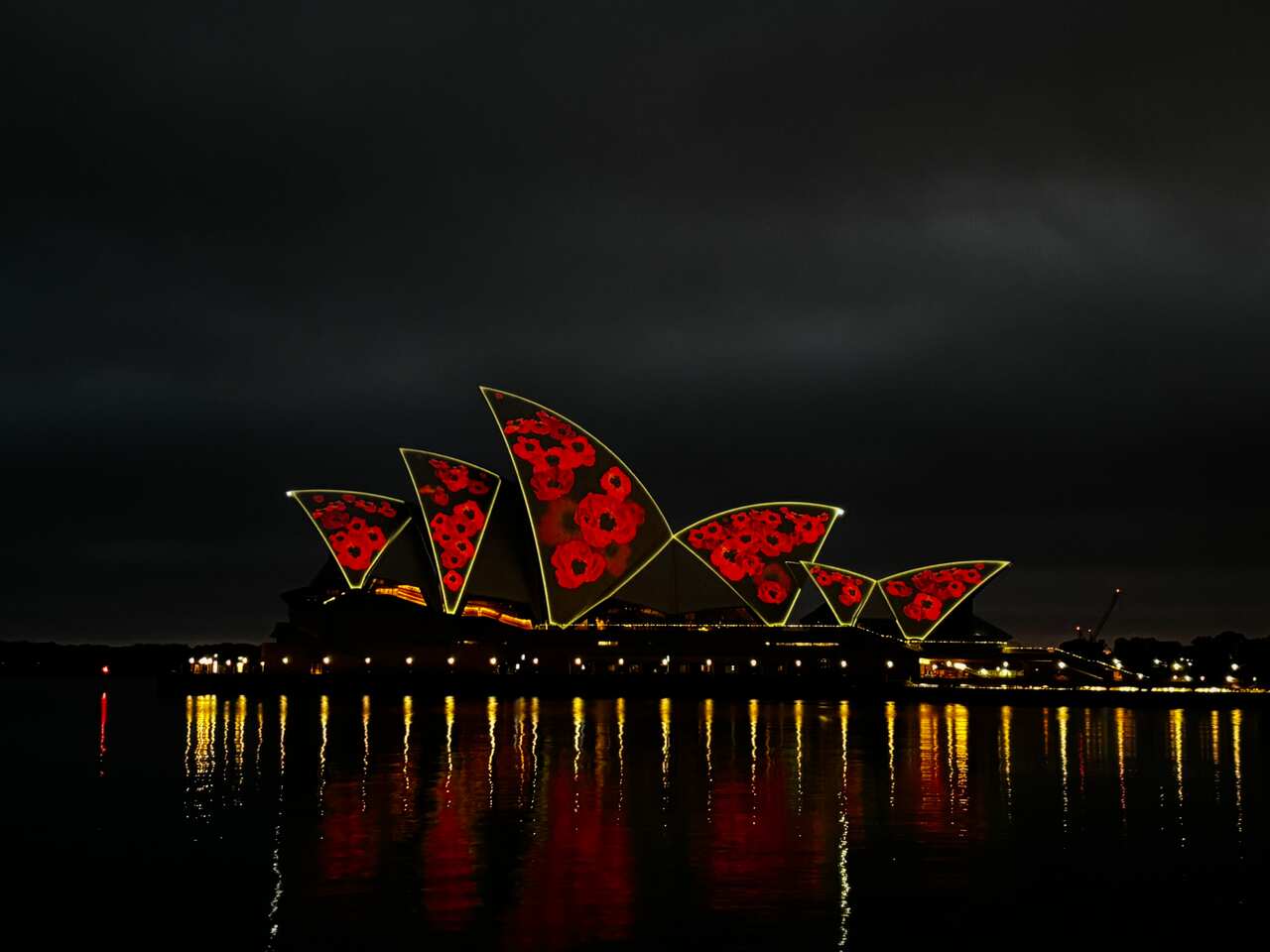 The Sydney Opera House lit up with red poppies