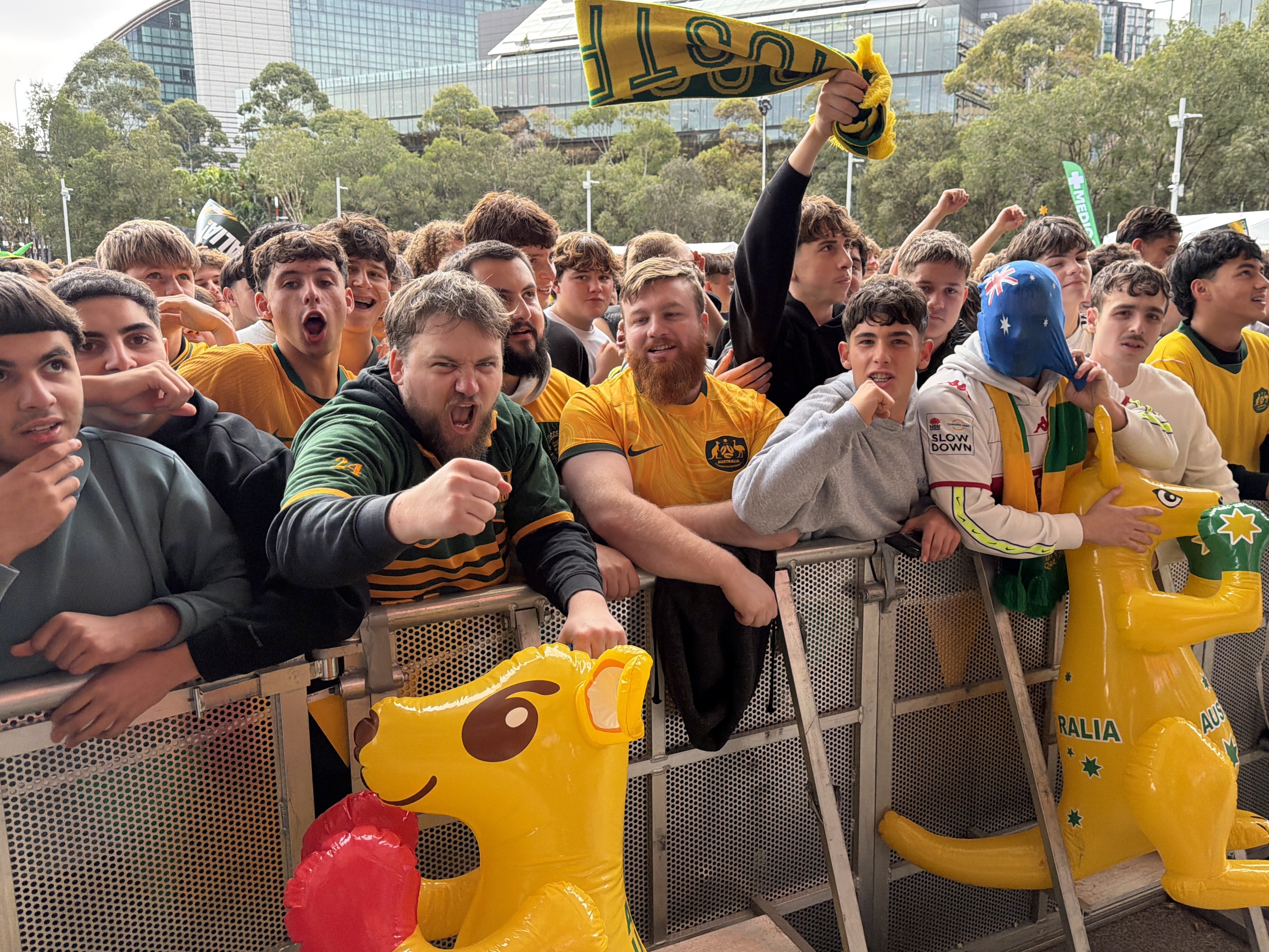 Crowds wearing yellow cheer while holding blow-up kangaroos.