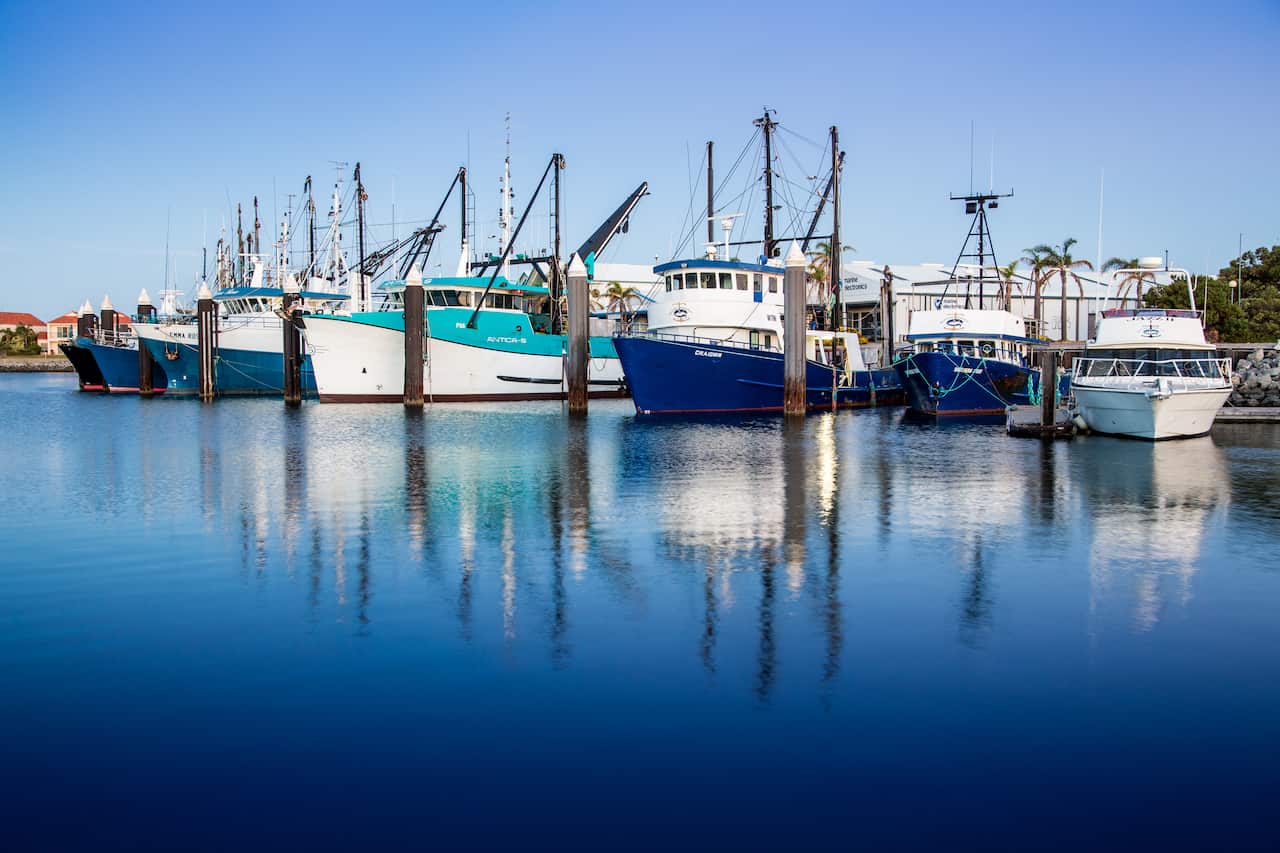 Prawn boats at Lincoln Cove Marina. Australia.