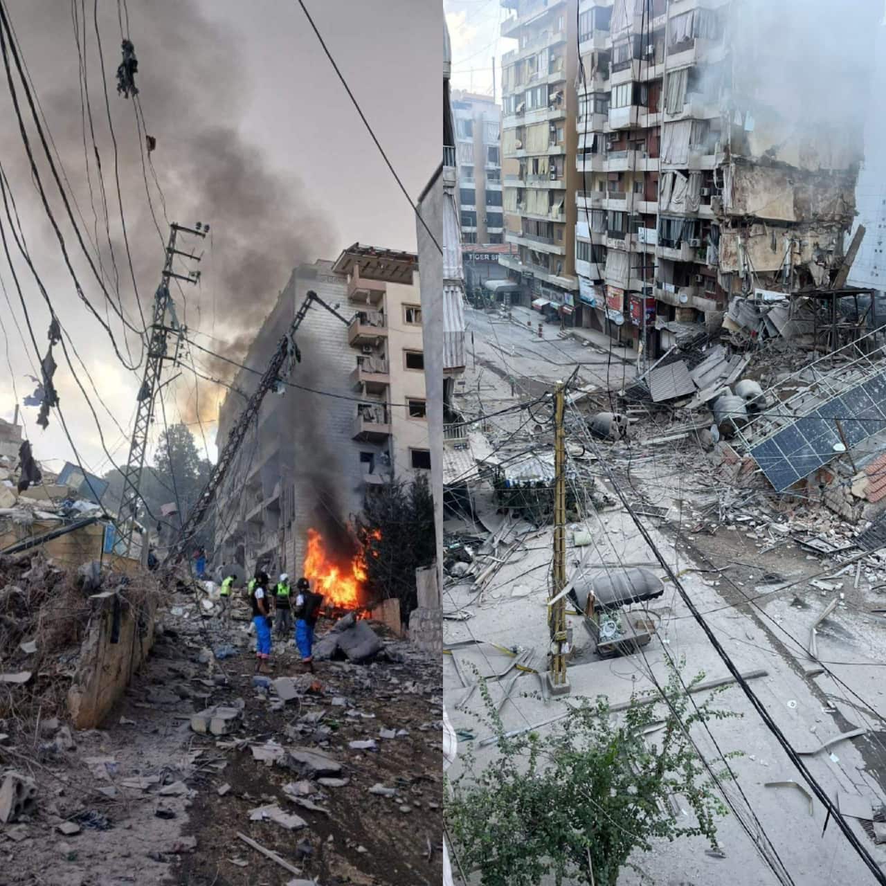 WhatsApp Image 2024-10-02 at 16.07.30.jpeg