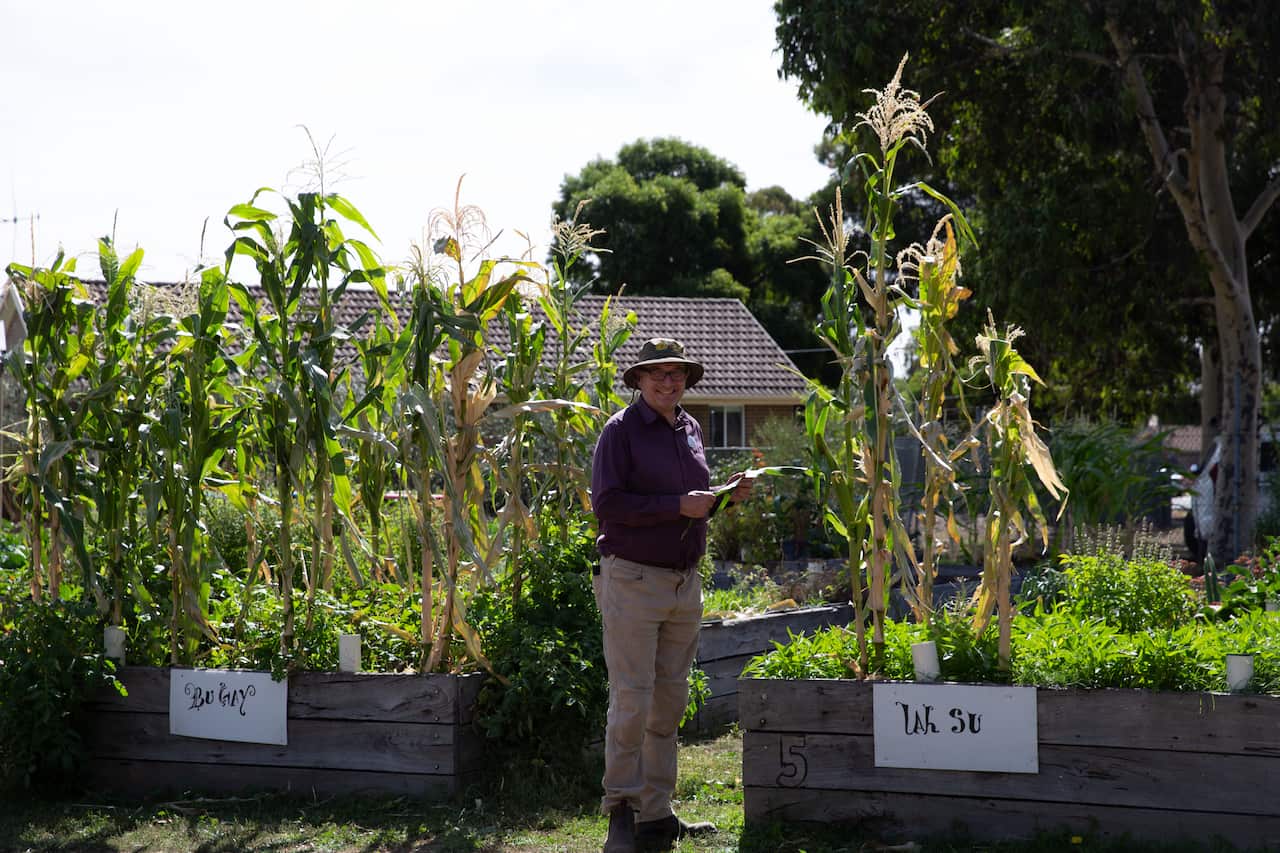 Long Gully Community Garden and Jonathan Ridnell credit Kyla Brettle.jpeg
