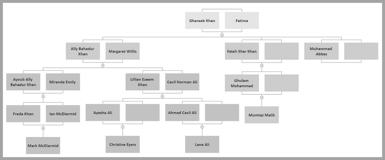 Family tree of Ally Bahadur Khan 