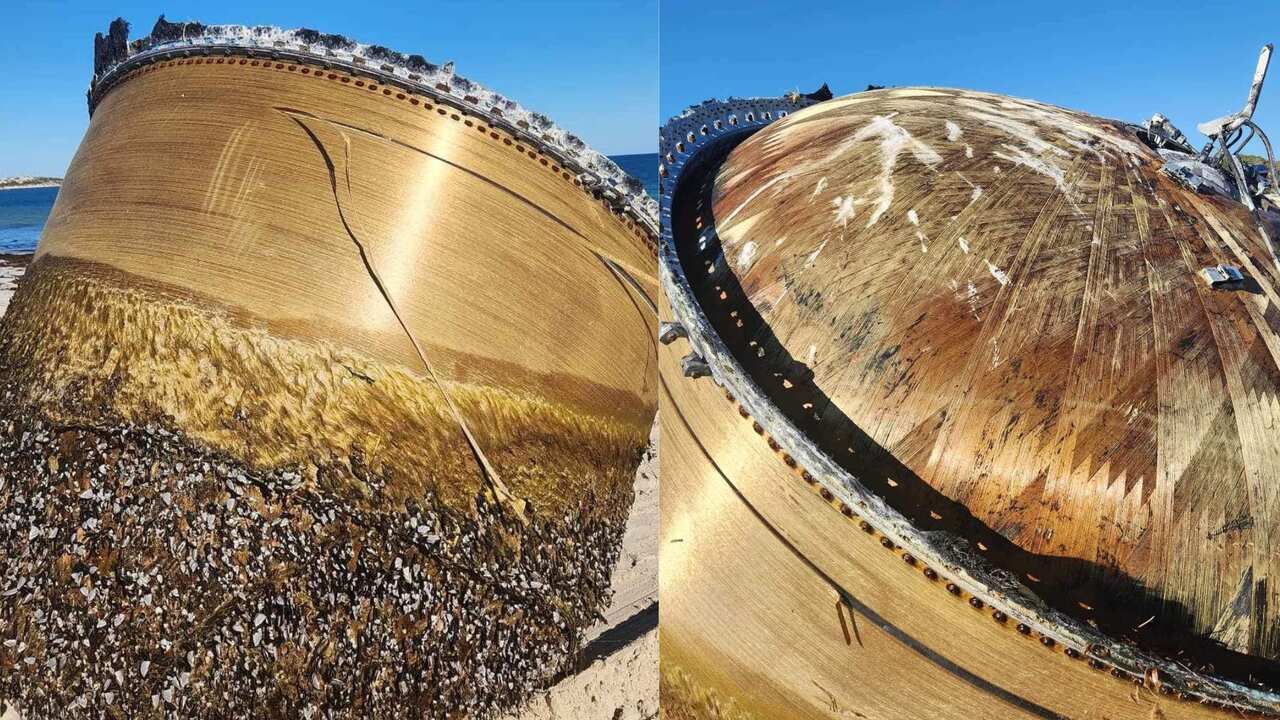 A large, barnacle covered cylindrical item washed up on a beach.