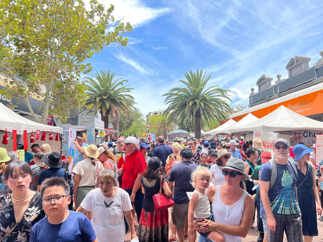 perth chinese new year fair 2023 (9).png