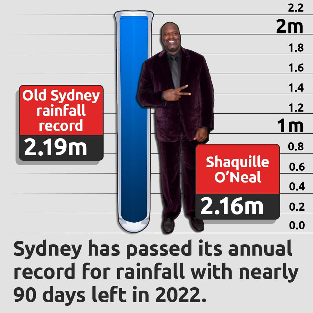 Shaq comparison graphic
