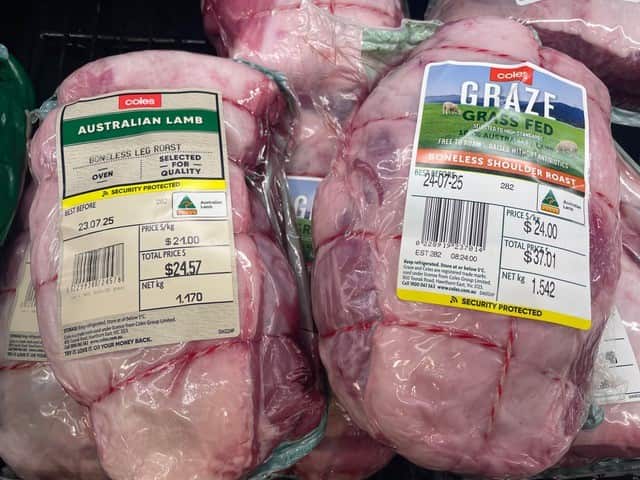 Mayu Tomaru Lamb3.jpg