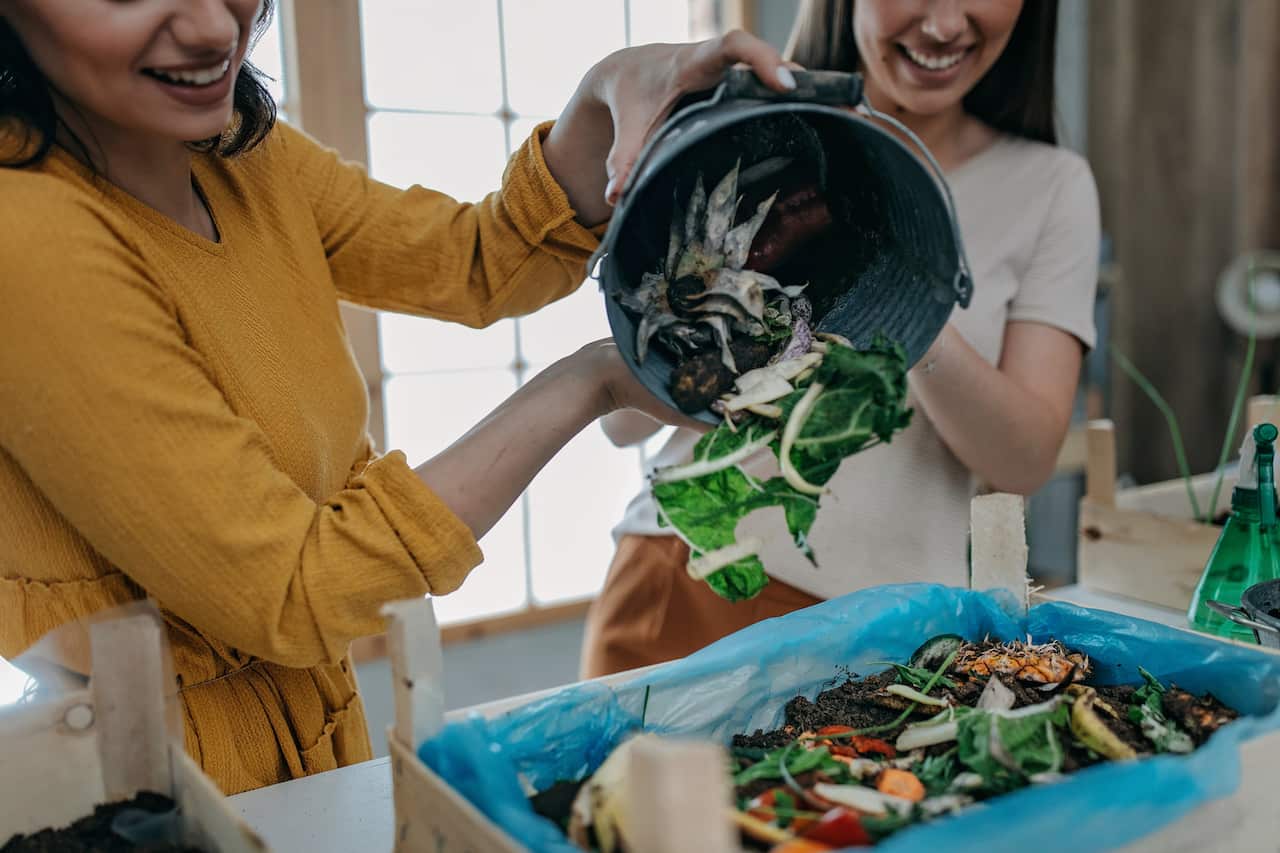 Young women planting spices indoors