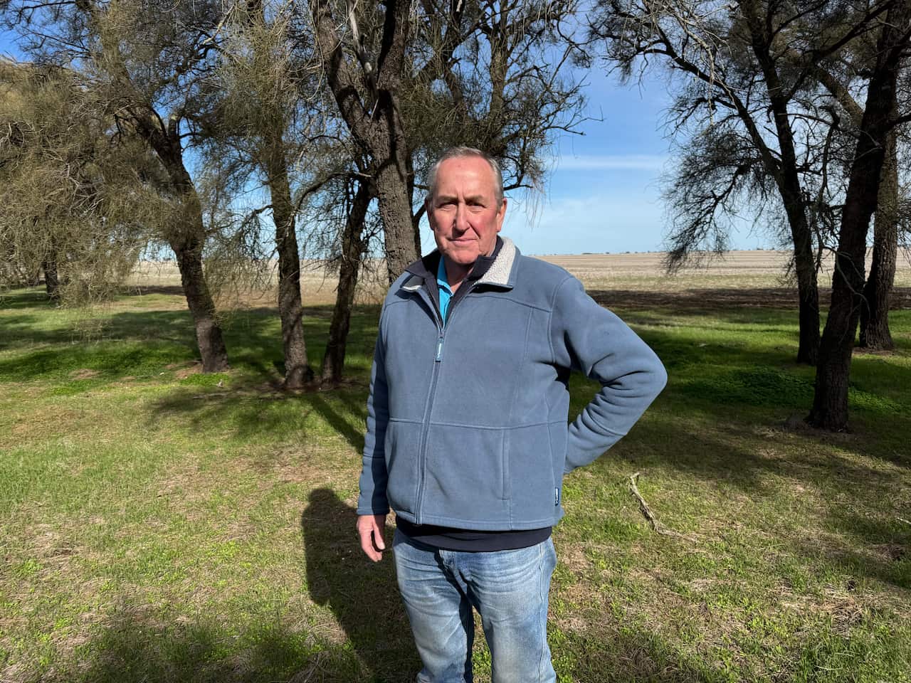 A man wearing a blue jumper and jeans is standing in a paddock.