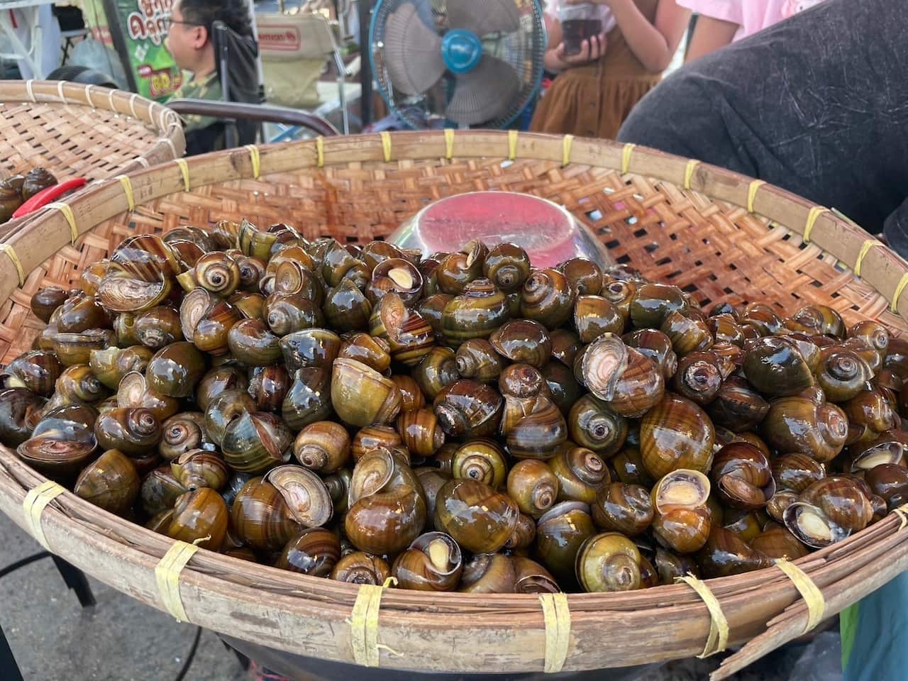 Mayu Tomaru 98-6.jpg