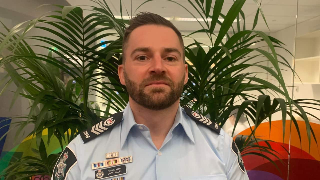 a young male police officer standing in his uniform in an office with green leaves of an indoor plant behind him
