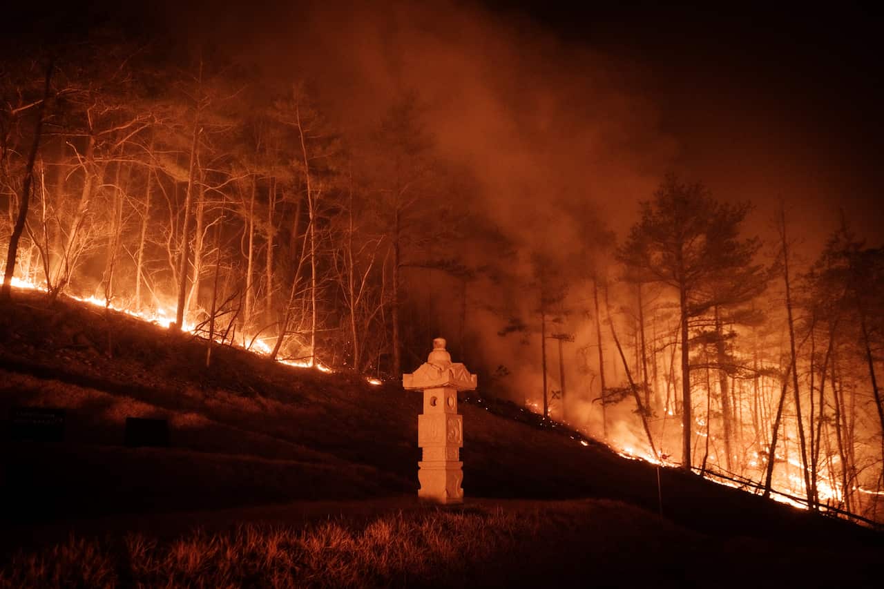 Trees burn in the distance as a tombstone is shown in the foreground.
