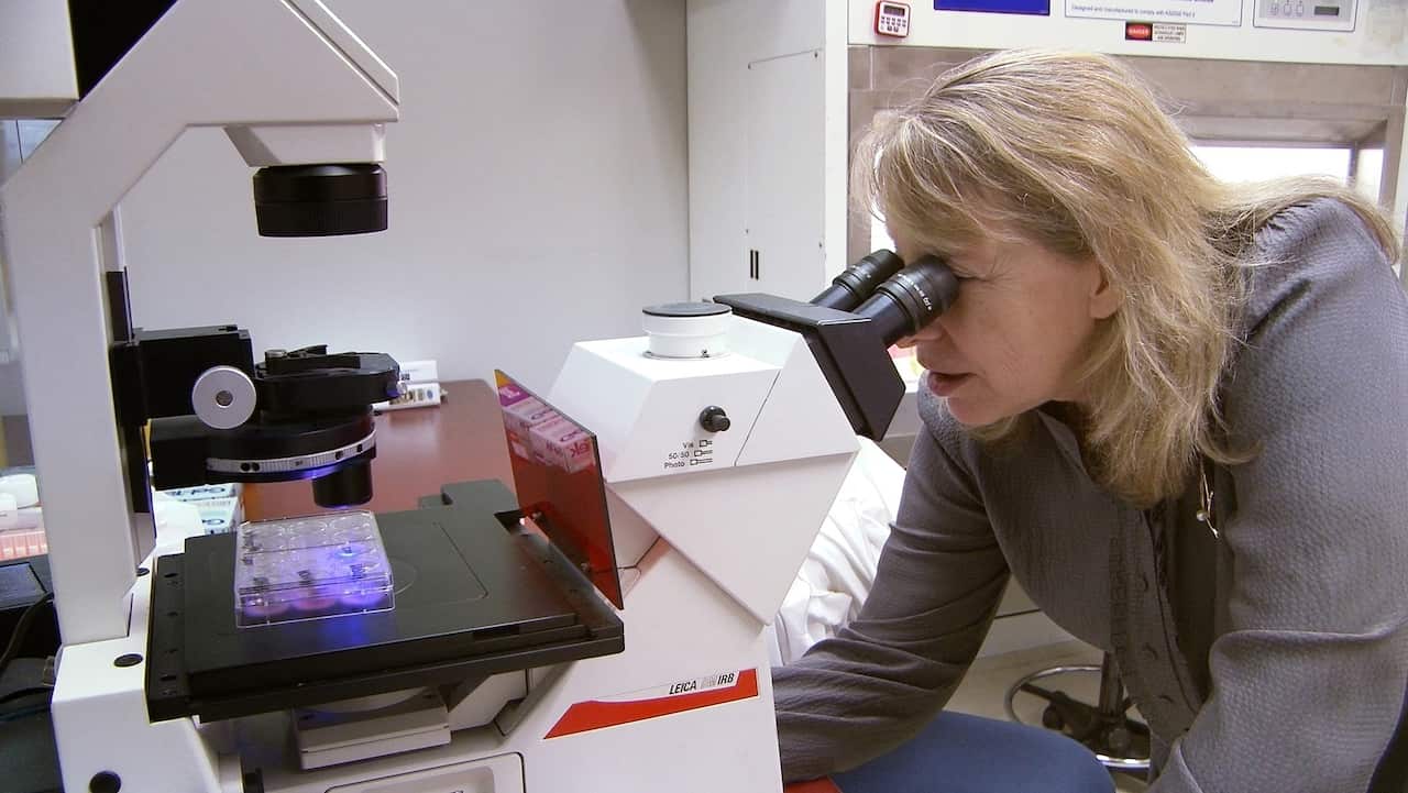 Cancer Killers -Dr Jennifer MacDiarmid examines the results of a successful experiments (1).jpg