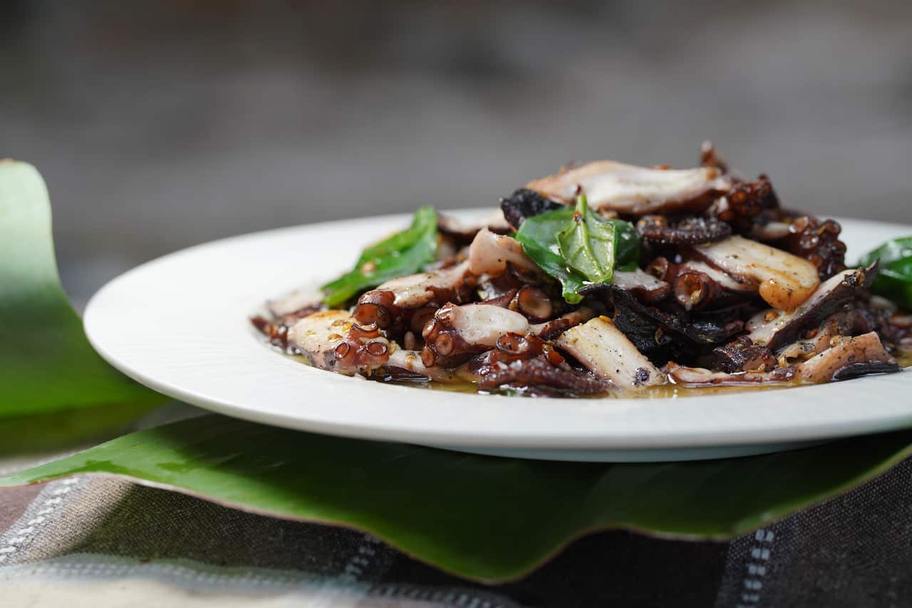 River mint octopus with desert herbs