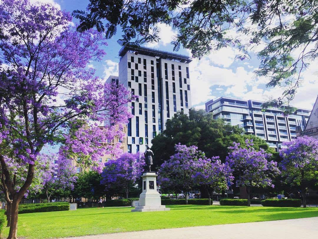 university of adelaide.jpg