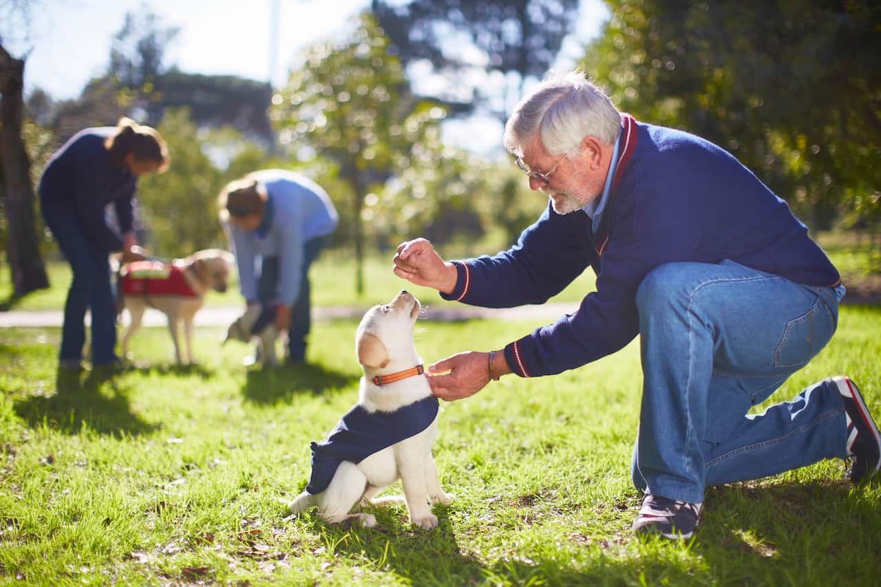 A person holding out a treat to a small puppy who is sitting on grass.