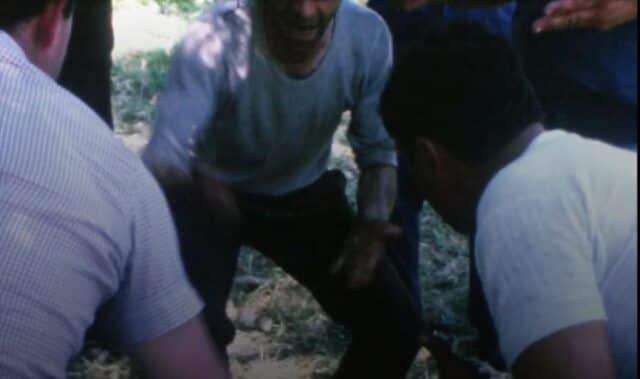 Frame-tratto-da-BRIGAS (1).jpg