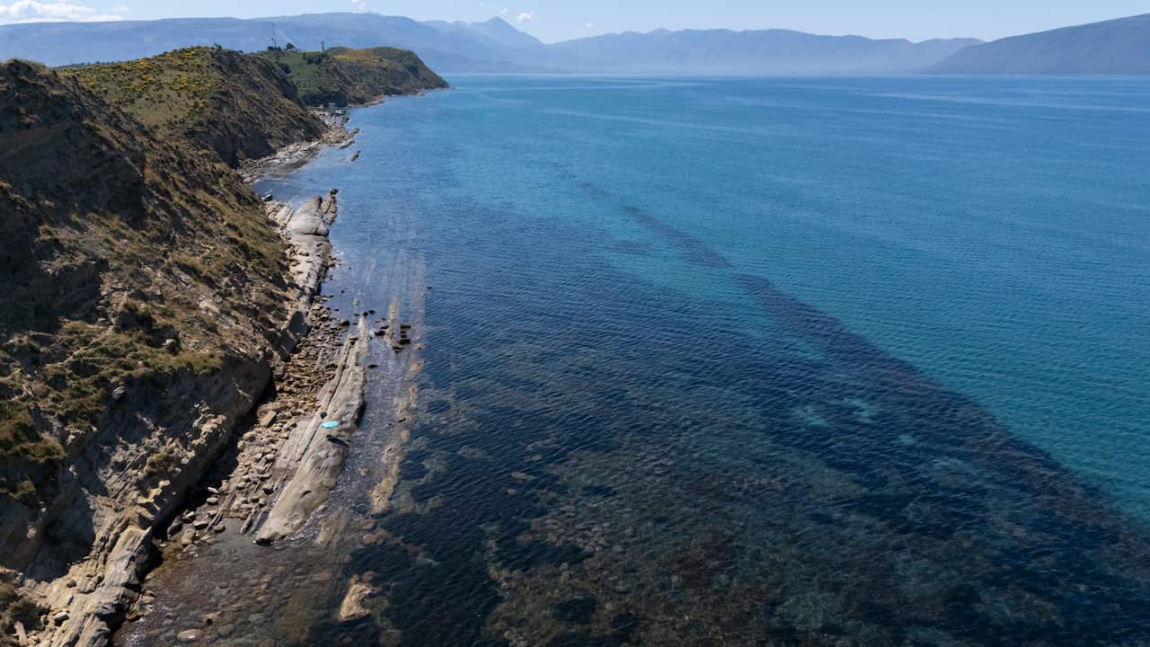 A rocky cliffline topped with greenery shoots out into turquoise water with mountains in the background.