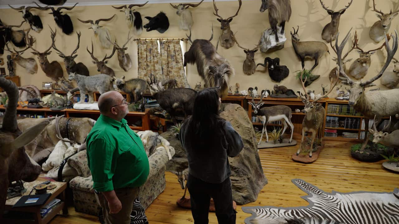 Two people look around a room full of hunting taxidermy. 