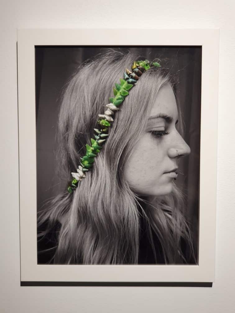 Andrew Gall doctoral exhibition 