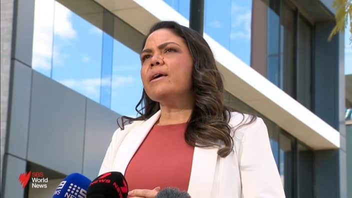 Opposition leader apologises to Indian Australian community over Jacinta Nampijinpa Price's migration remarks