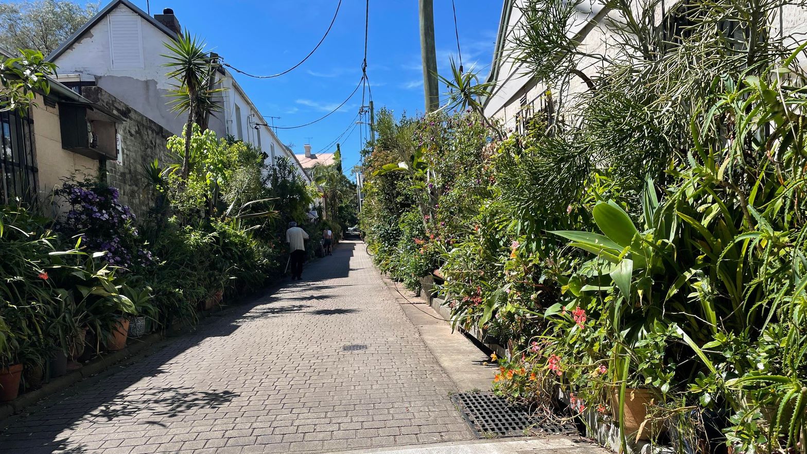 McElhone Place Surry Hills, Sydney