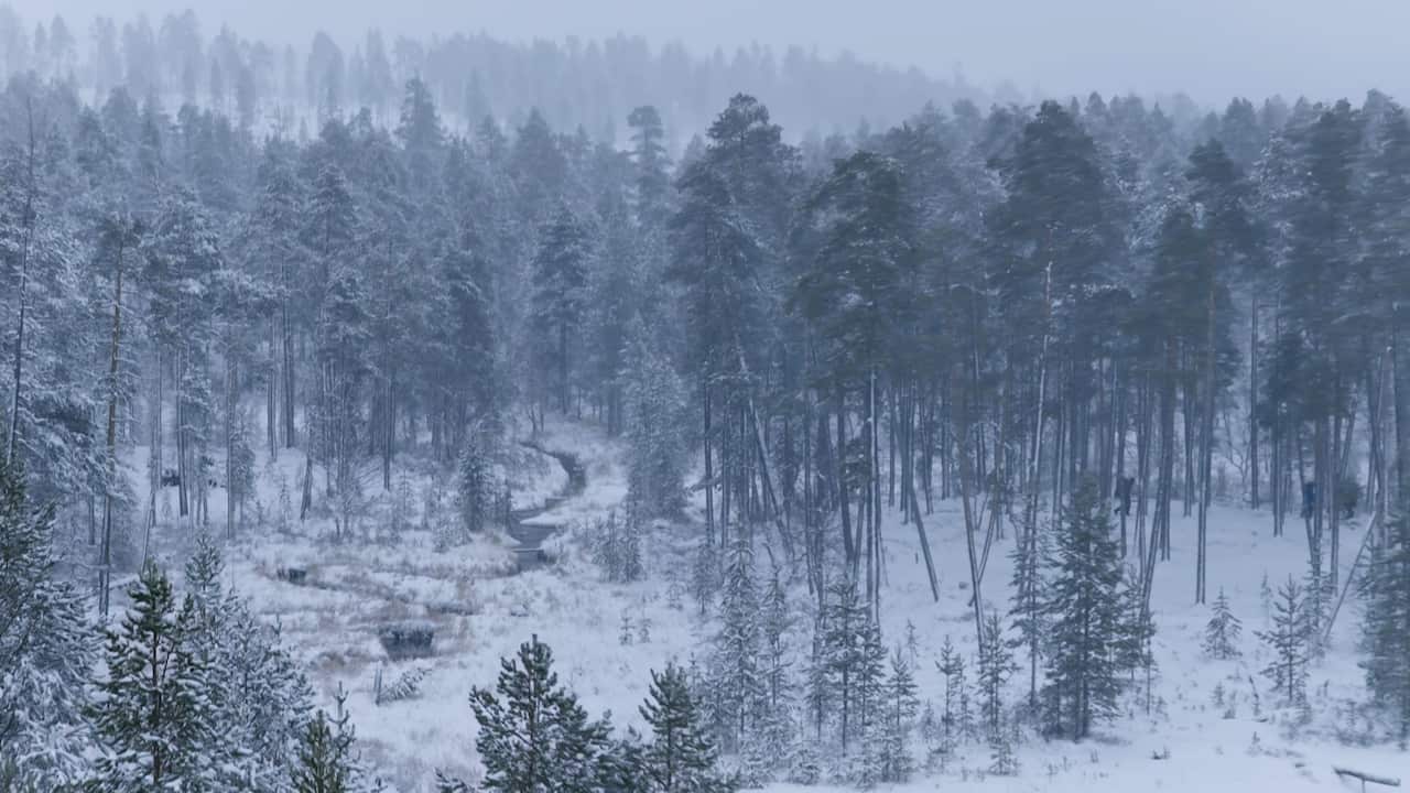 A frozen winter landscape shwoing trees and the ground covered in snow.
