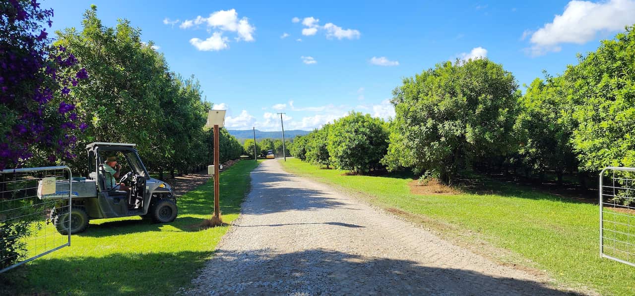 Macademiaboerderij Mororo