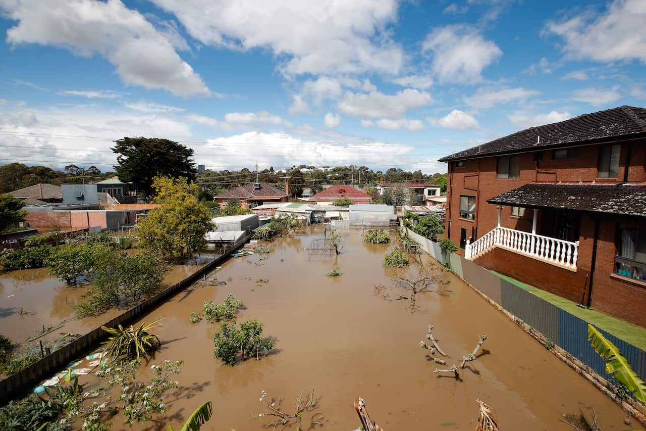 Flooded backyard