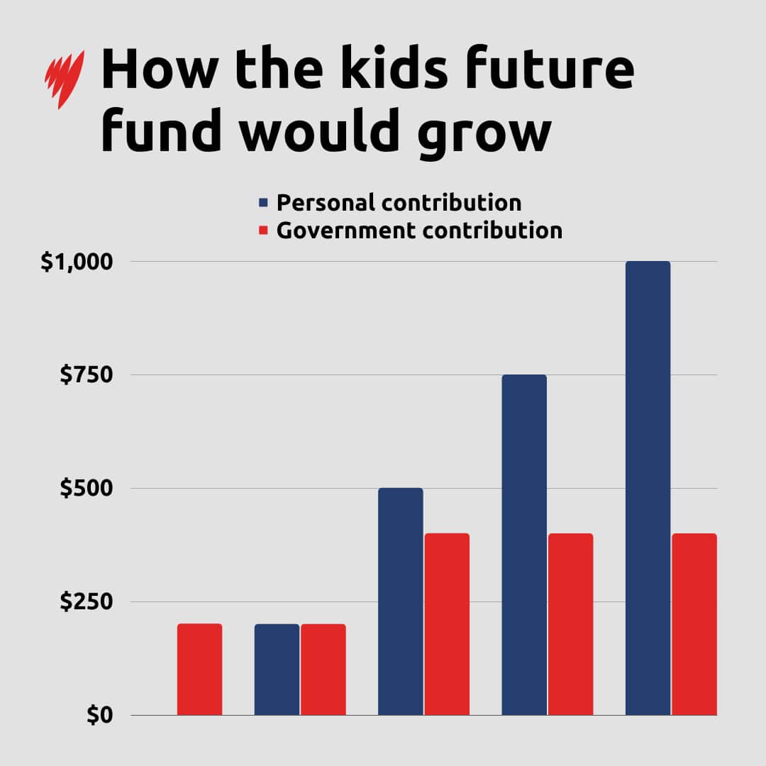 Graph showing NSW government's future fund scheme.