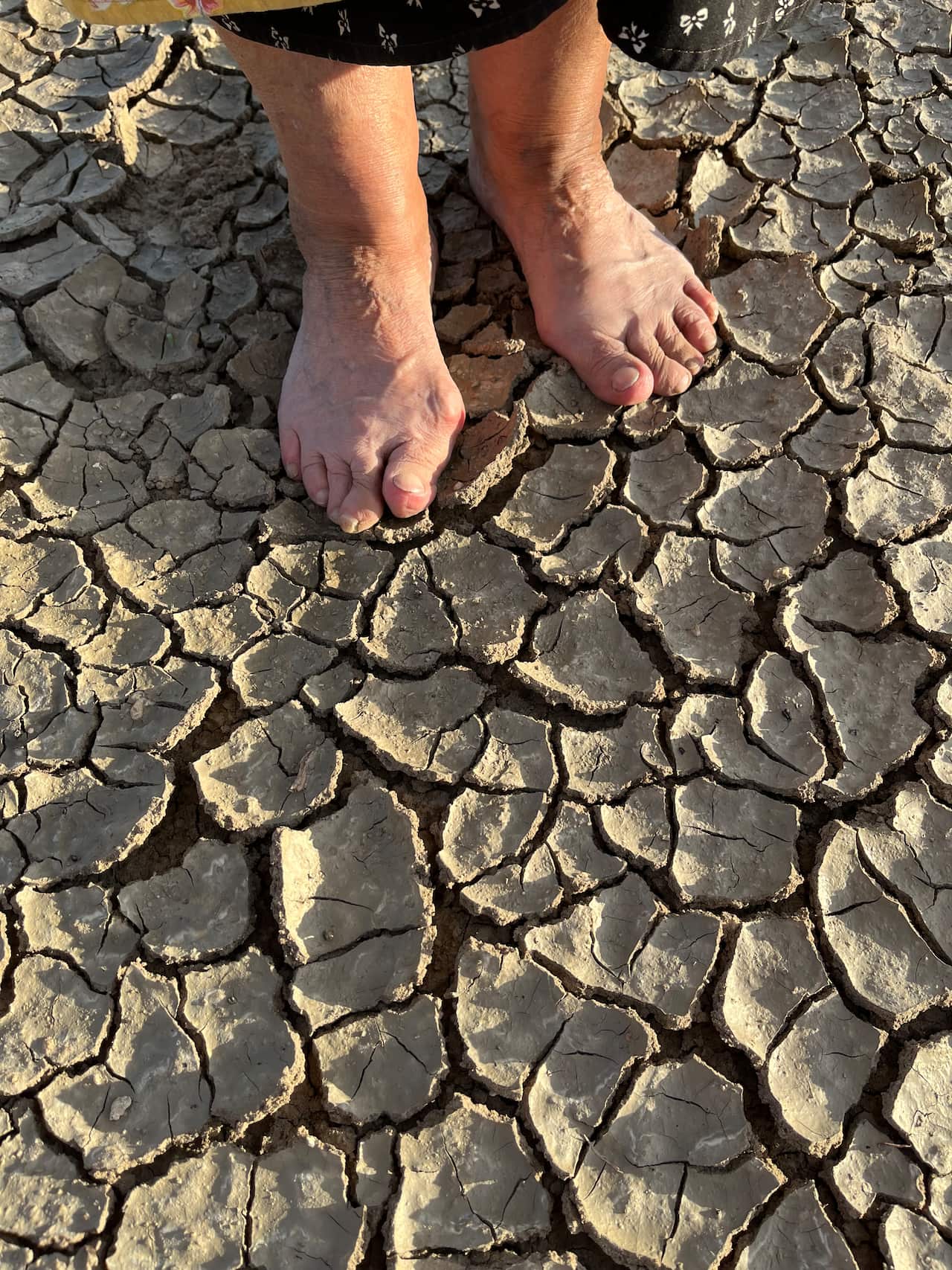 Callipari_e melb_feet and cracked earth.jpg