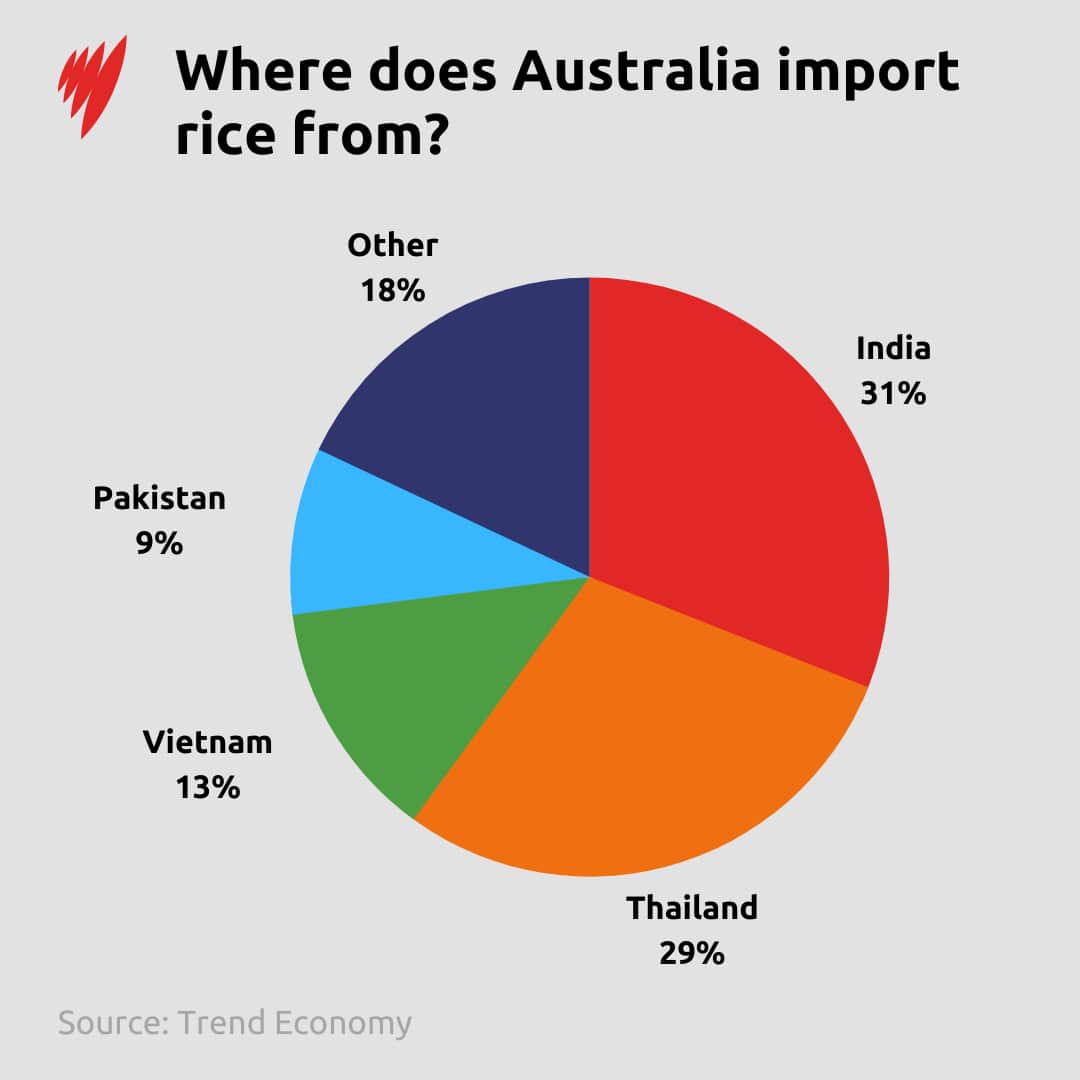 Pie graph showing where Australia imports rice from.