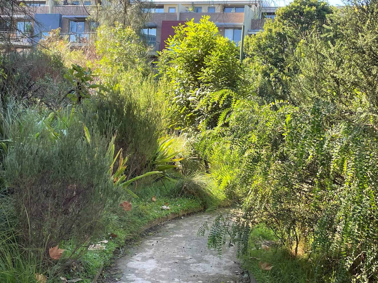 A pathway leads into a parkland lined with green trees.