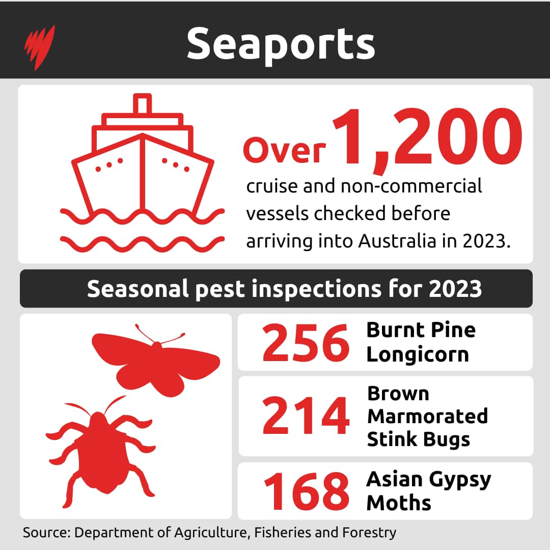 An infographic showing the number of vessels inspected in 2023, as well as the seasonal pests detected.