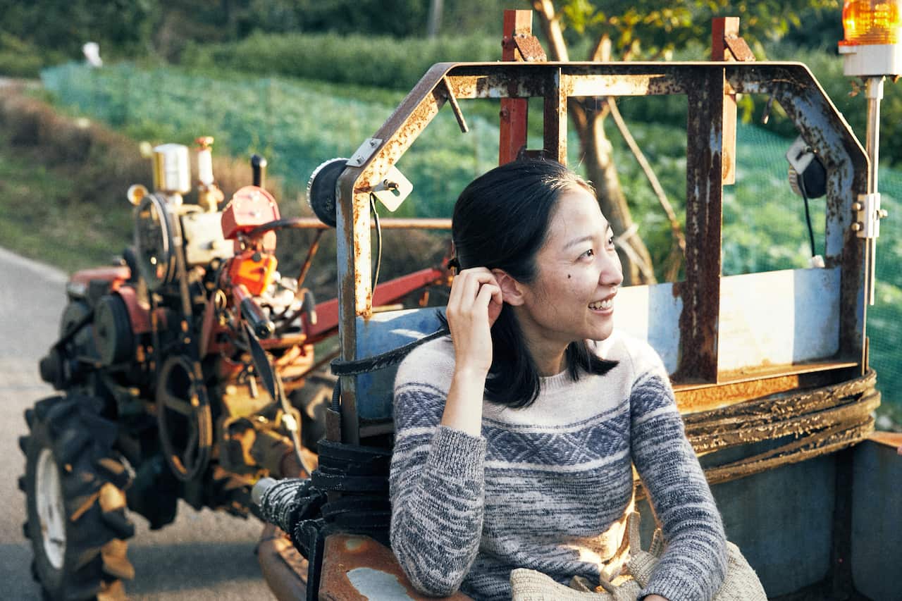 IMG_7234_Youngbae_Son 소영 트랙터.jpeg