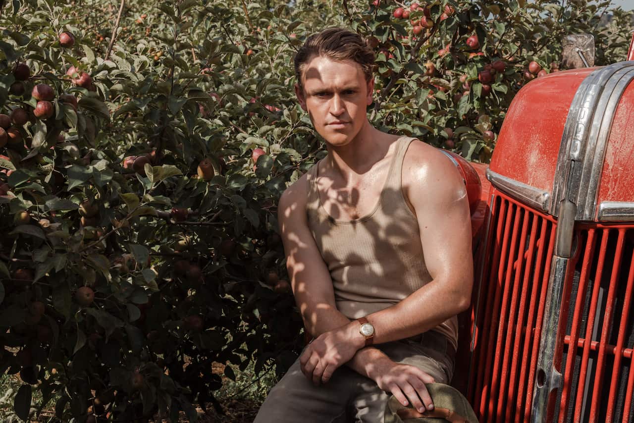 A man sits on the front of a truck in an apple orchard