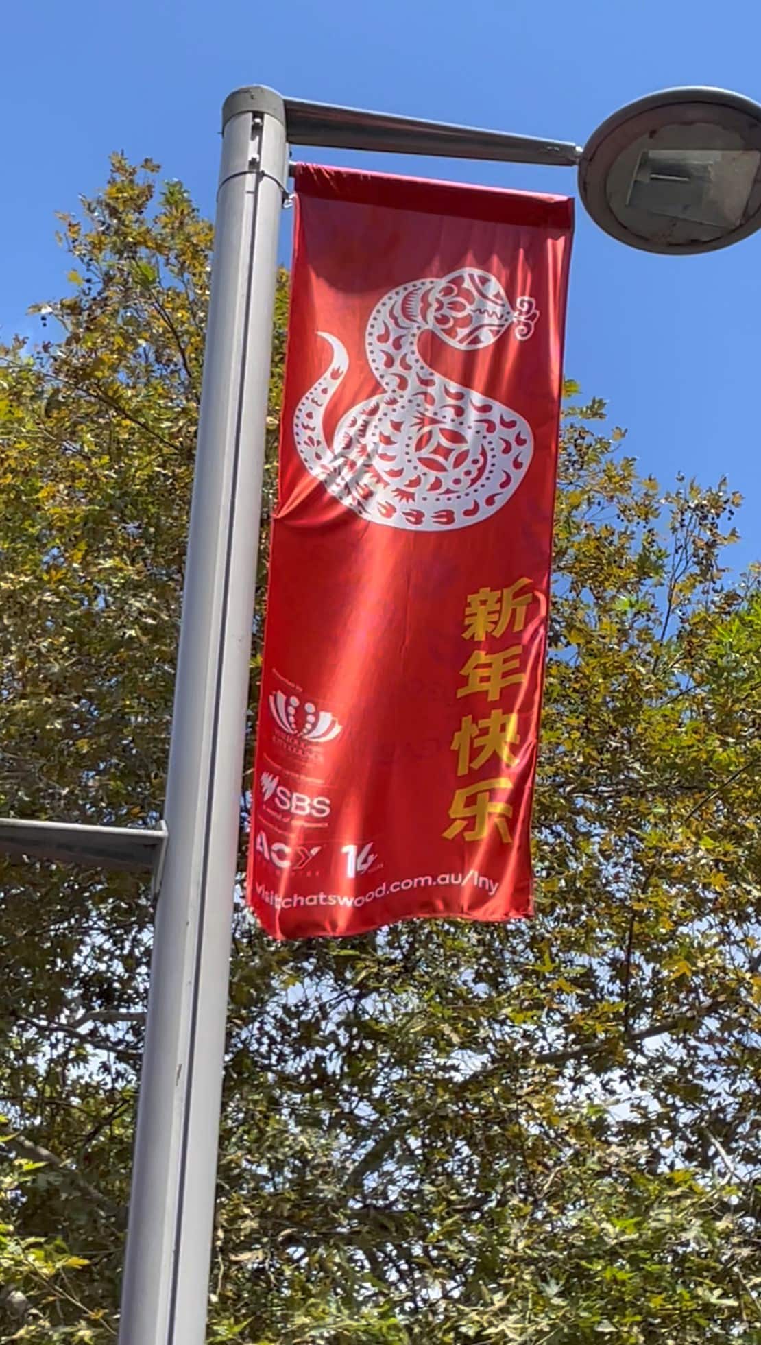 Chatswood Year of The Snake Flag Design (Provided by Tianli Zu).jpg