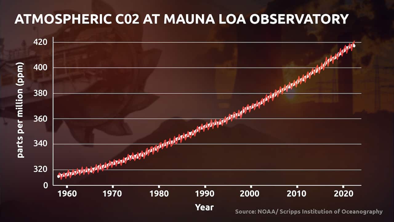 A graph showing the rise in carbon dioxide levels observed at NOAA's Mauna Loa Observatory.