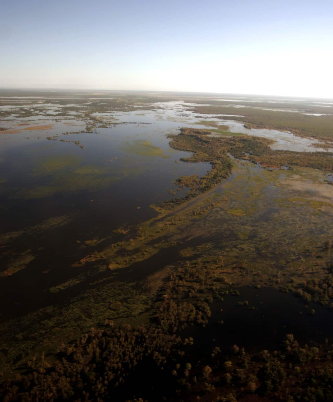 An aerial shot of some wetlands