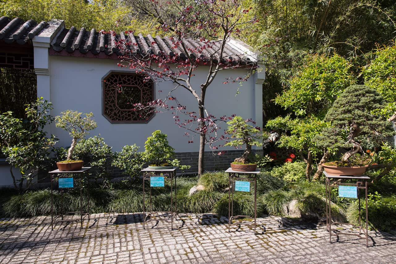 PenjingExhibition_ChineseGardens