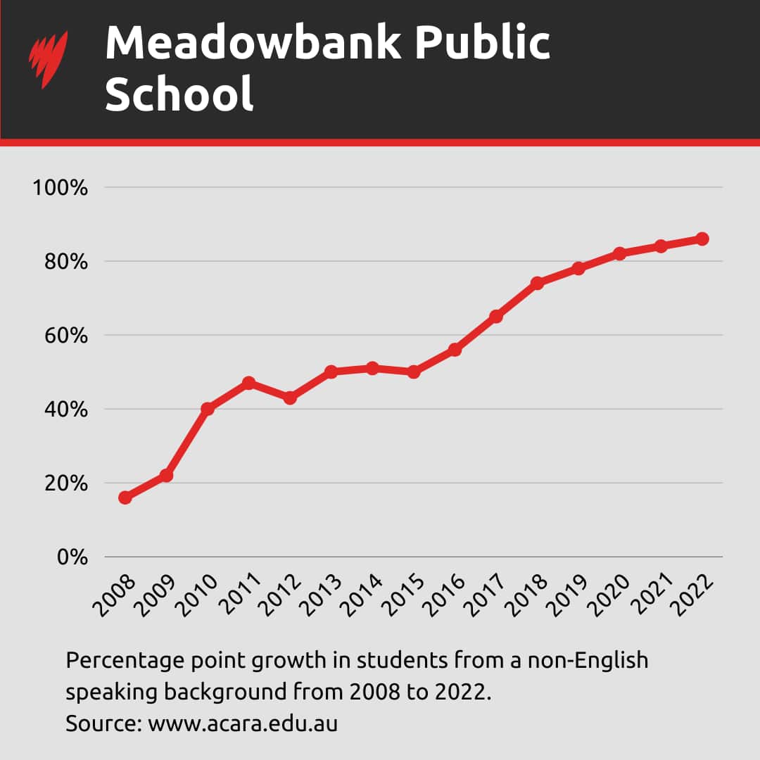 MulticulturalSchools-MeadowbankPublic.png