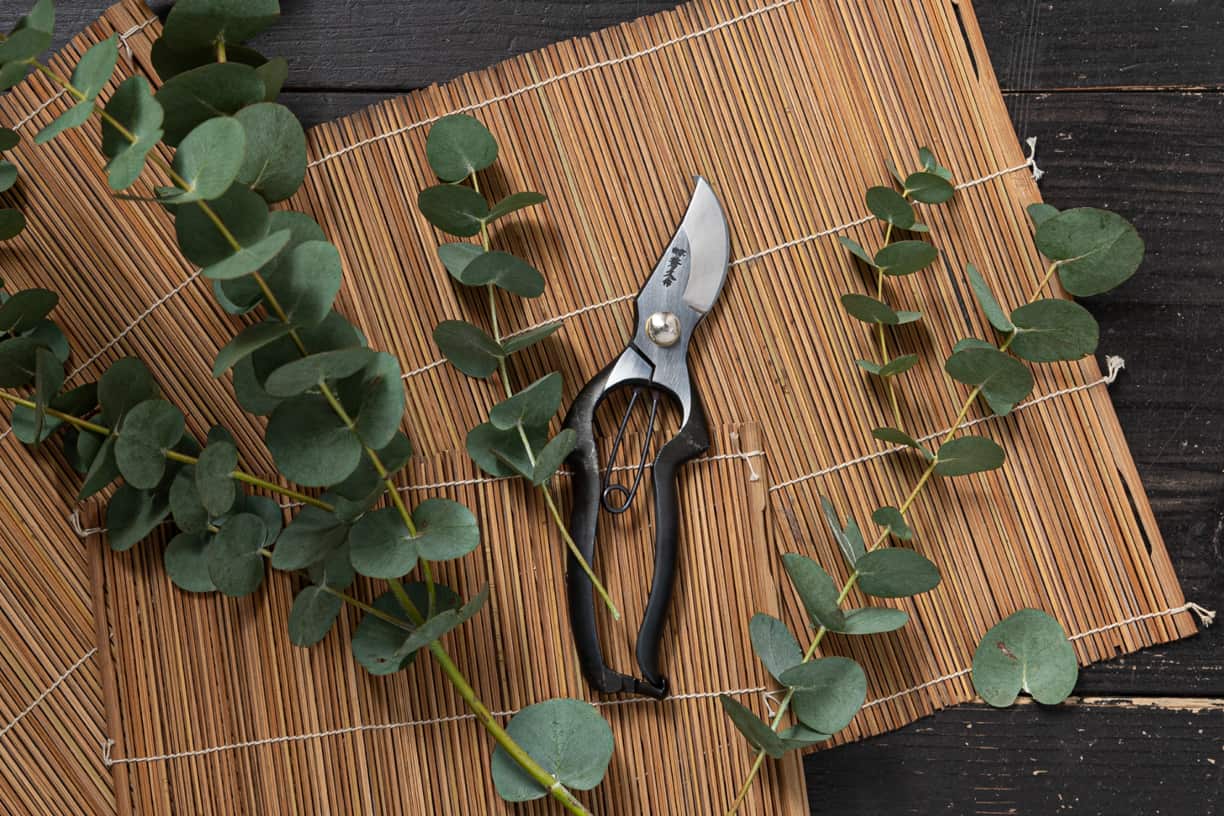 _DSC9637 - コピー.jpg