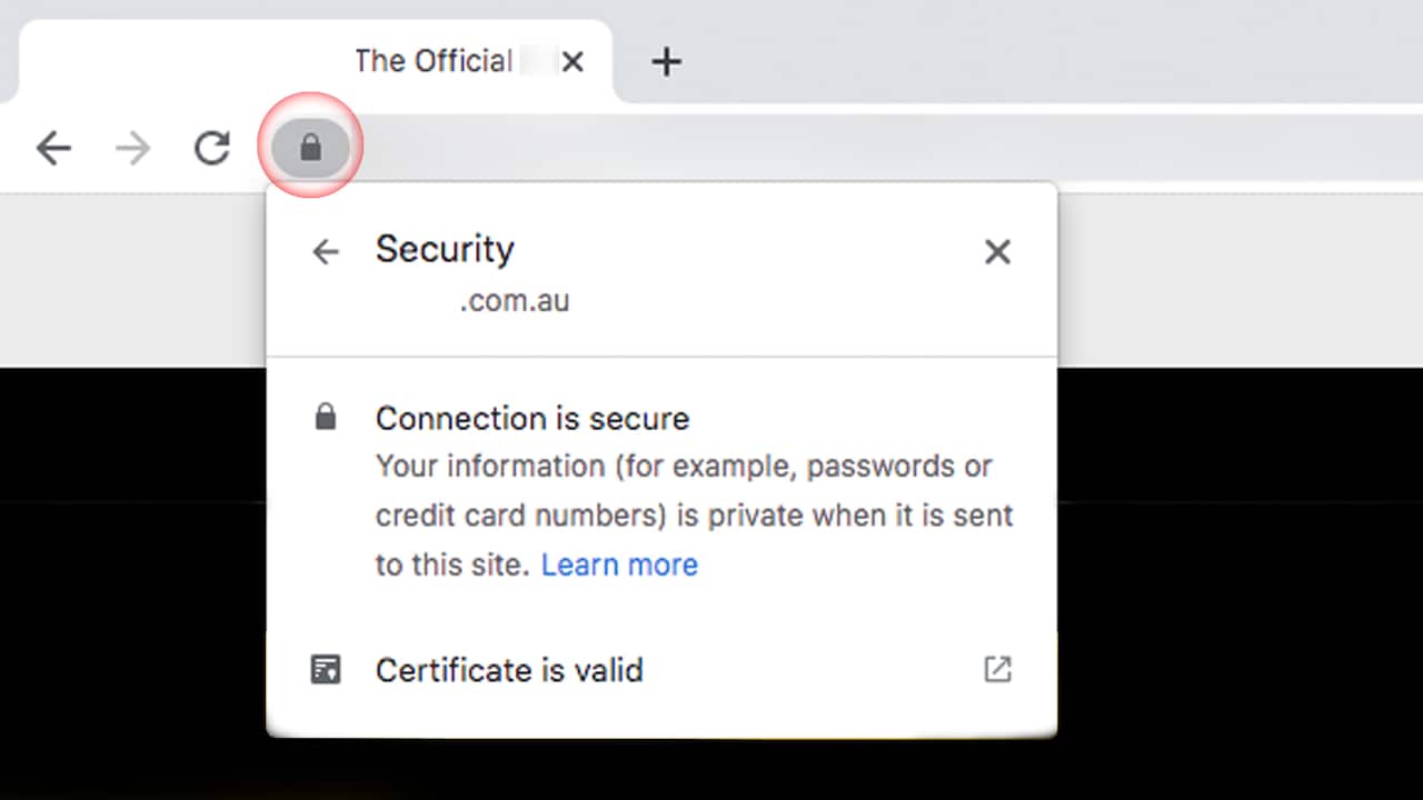 Official website 2.jpg