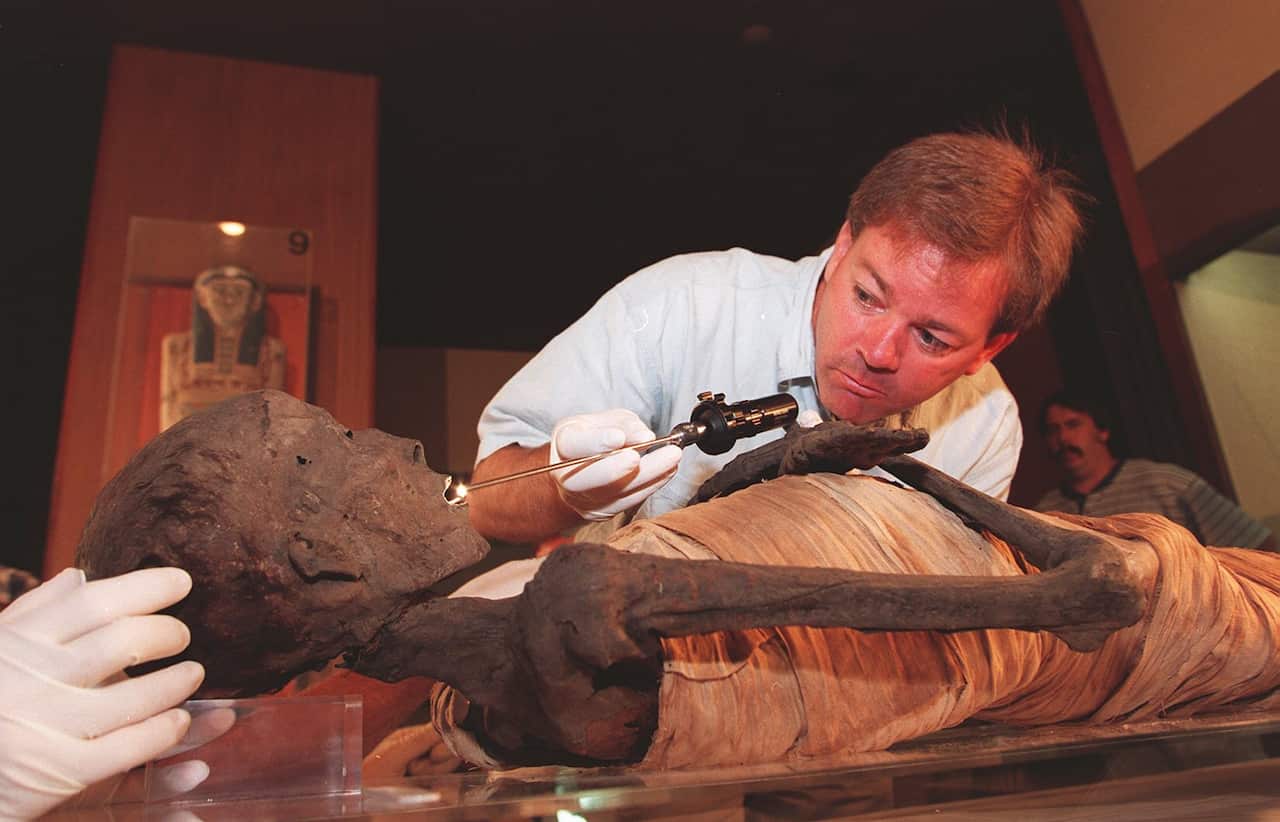A man examining a mummy that is on display.
