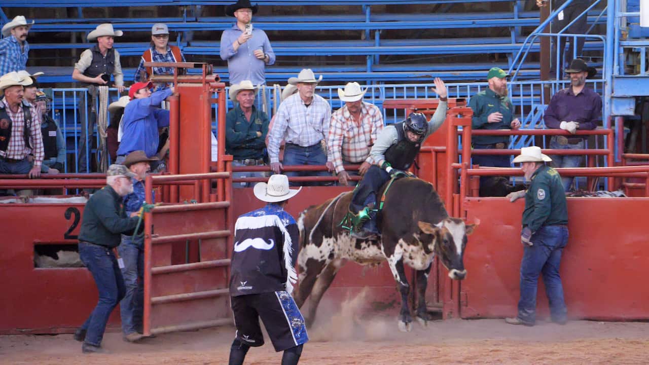 A man wearing a blue shirt, a leather vest and a cowboy hat is riding a bucking white bull in front of spectators