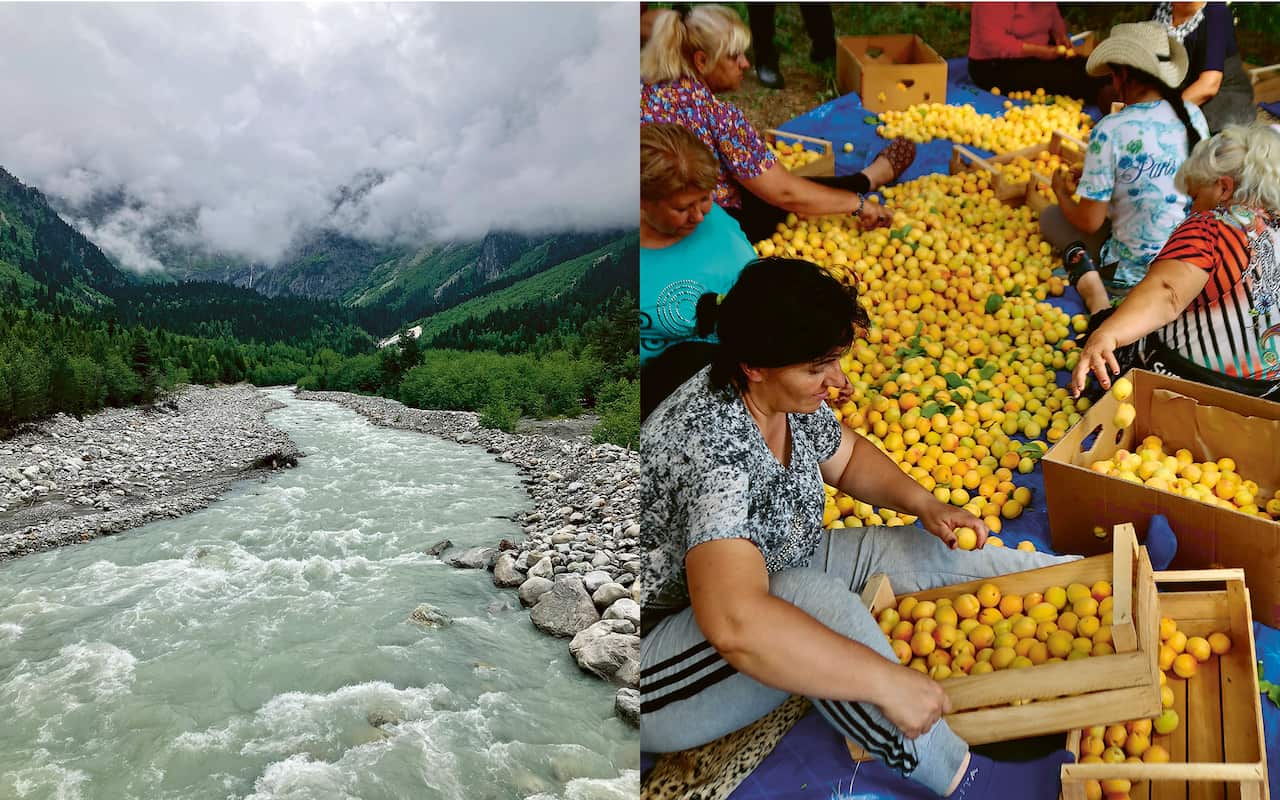 images from Green Mountains.jpg