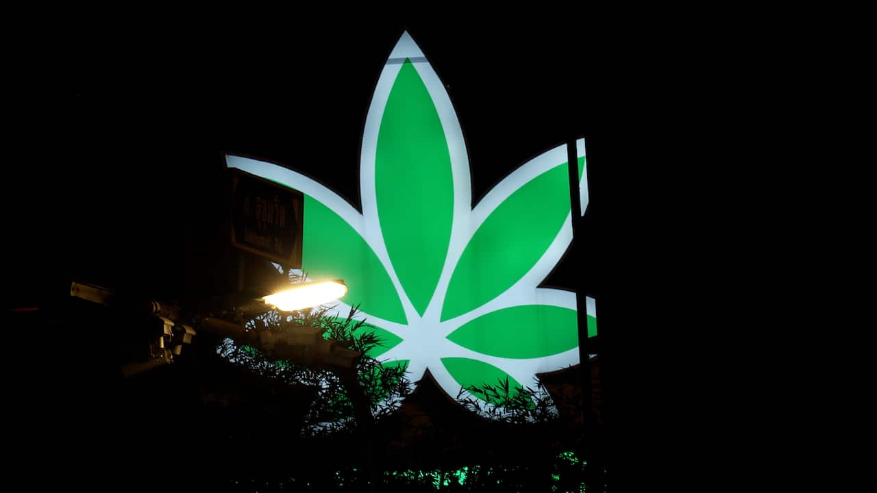 A neon sign of a green leaf with a white outline.
