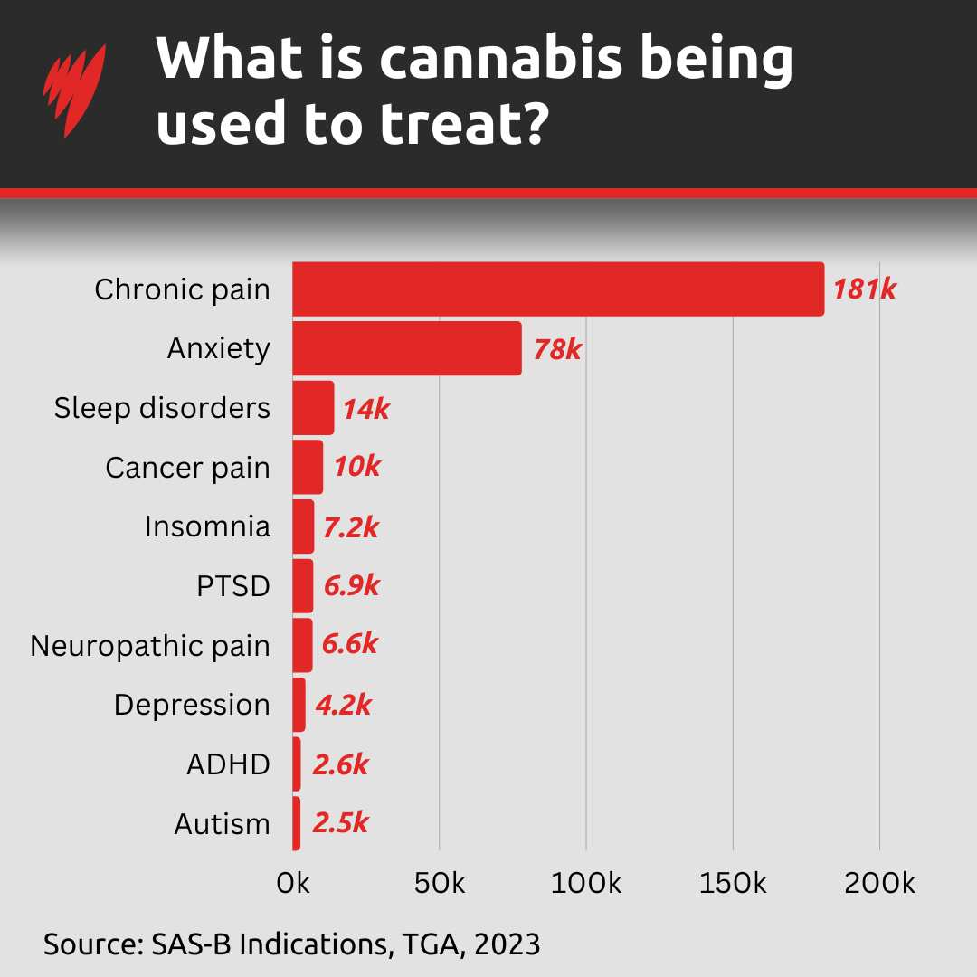 A graph showing the conditions cannabis is being prescribed to treat. 